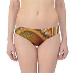 Feather Peacock Feather Peacock Hipster Bikini Bottoms by Nexatart