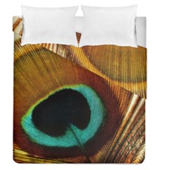 Feather Peacock Feather Peacock Duvet Cover Double Side (queen Size) by Nexatart