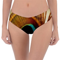 Feather Peacock Feather Peacock Reversible Classic Bikini Bottoms by Nexatart