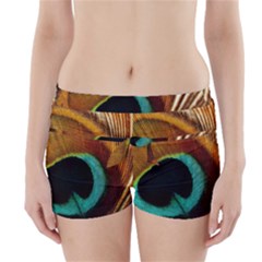 Feather Peacock Feather Peacock Boyleg Bikini Wrap Bottoms by Nexatart