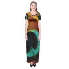 Feather Peacock Feather Peacock Short Sleeve Maxi Dress by Nexatart