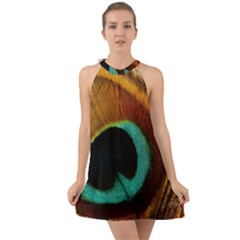 Feather Peacock Feather Peacock Halter Tie Back Chiffon Dress by Nexatart