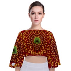 Flower Dahlia Red Petals Color Tie Back Butterfly Sleeve Chiffon Top by Nexatart