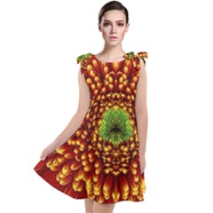 Flower Dahlia Red Petals Color Tie Up Tunic Dress by Nexatart