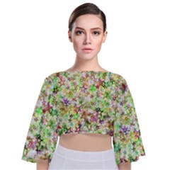 Background Christmas Star Advent Tie Back Butterfly Sleeve Chiffon Top