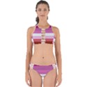 Lesbian Pride Flag Perfectly Cut Out Bikini Set View1