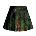 The Night Sadness Surprise Mini Flare Skirt View1