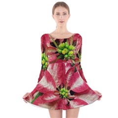 Christmas Poinsettia Deco Jewellery Long Sleeve Velvet Skater Dress by Pakrebo