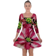 Christmas Poinsettia Deco Jewellery Quarter Sleeve Skater Dress by Pakrebo