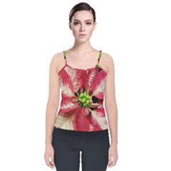 Christmas Poinsettia Deco Jewellery Velvet Spaghetti Strap Top by Pakrebo