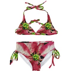 Christmas Poinsettia Deco Jewellery Kids  Classic Bikini Set by Pakrebo