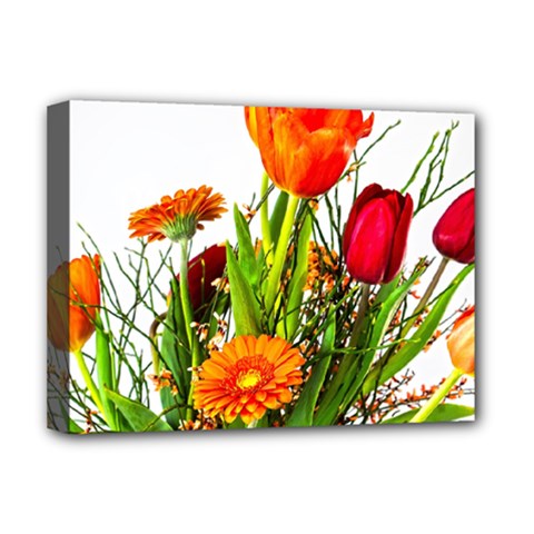 Tulip Gerbera Composites Broom Deluxe Canvas 16  X 12  (stretched)  by Pakrebo