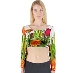 Tulip Gerbera Composites Broom Long Sleeve Crop Top by Pakrebo