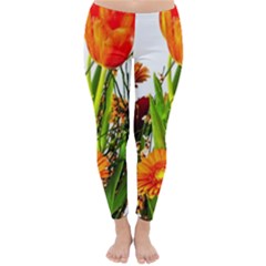 Tulip Gerbera Composites Broom Classic Winter Leggings by Pakrebo