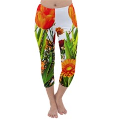 Tulip Gerbera Composites Broom Capri Winter Leggings  by Pakrebo