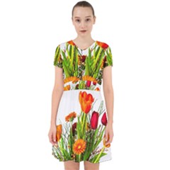 Tulip Gerbera Composites Broom Adorable In Chiffon Dress by Pakrebo