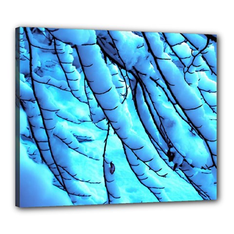 Winter Branch Tree Beech Snow Canvas 24  X 20  (stretched) by Pakrebo