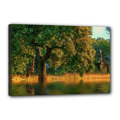 Nature Tree Sunset Giraffe Animal Canvas 18  X 12  (stretched) by Pakrebo