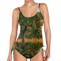 Nature Tree Sunset Giraffe Animal Tankini Set by Pakrebo