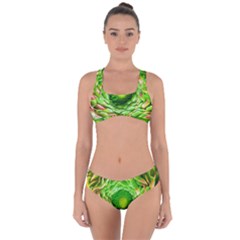 Ranunculus Blossom Bloom Nature Criss Cross Bikini Set by Pakrebo