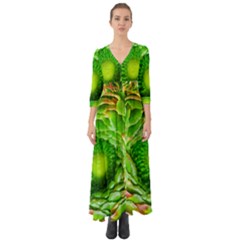 Ranunculus Blossom Bloom Nature Button Up Boho Maxi Dress by Pakrebo