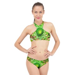 Ranunculus Blossom Bloom Nature High Neck Bikini Set by Pakrebo