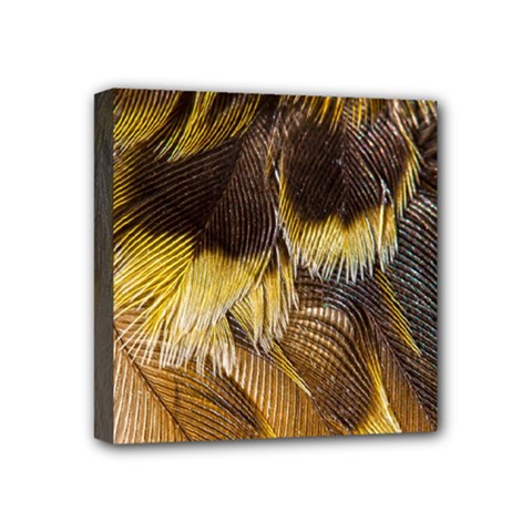 Wing Feather Bird Animal World Mini Canvas 4  X 4  (stretched) by Pakrebo