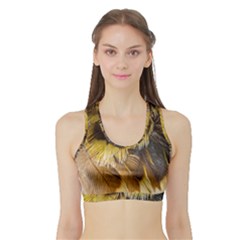 Wing Feather Bird Animal World Sports Bra With Border by Pakrebo