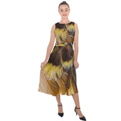 Wing Feather Bird Animal World Midi Tie-back Chiffon Dress by Pakrebo