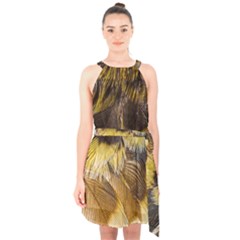 Wing Feather Bird Animal World Halter Collar Waist Tie Chiffon Dress by Pakrebo