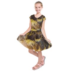 Wing Feather Bird Animal World Kids  Short Sleeve Dress by Pakrebo