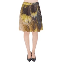 Wing Feather Bird Animal World Velvet High Waist Skirt by Pakrebo