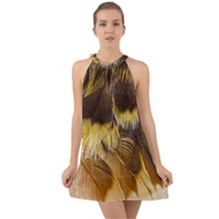 Wing Feather Bird Animal World Halter Tie Back Chiffon Dress by Pakrebo