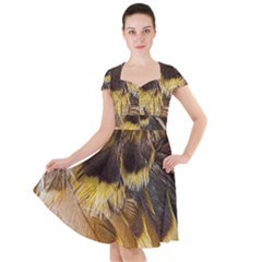 Wing Feather Bird Animal World Cap Sleeve Midi Dress by Pakrebo