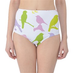 Birds Colourful Background Classic High-waist Bikini Bottoms