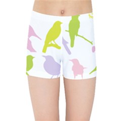 Birds Colourful Background Kids  Sports Shorts