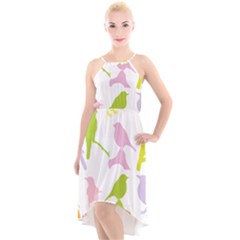 Birds Colourful Background High-low Halter Chiffon Dress 