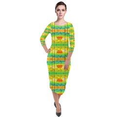 Birds Beach Sun Abstract Pattern Quarter Sleeve Midi Velour Bodycon Dress by HermanTelo