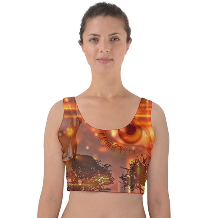 Eye Butterfly Evening Sky Velvet Crop Top