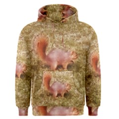 Squirrel Men s Pullover Hoodie by Riverwoman