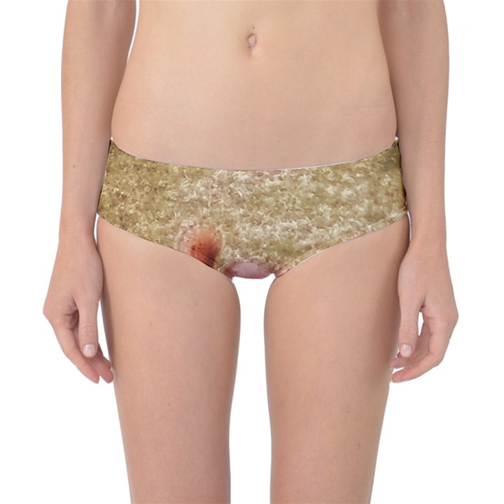 Squirrel Classic Bikini Bottoms