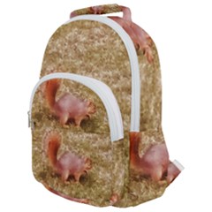 Squirrel Rounded Multi Pocket Backpack