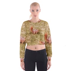 Squirrel Cropped Sweatshirt by Riverwoman