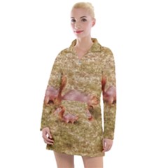 Squirrel Women s Long Sleeve Casual Dress by Riverwoman