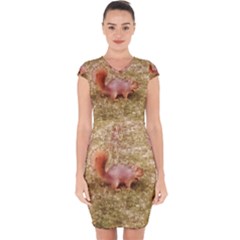 Squirrel Capsleeve Drawstring Dress  by Riverwoman