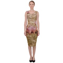 Squirrel Sleeveless Pencil Dress by Riverwoman