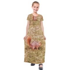 Squirrel Kids  Short Sleeve Maxi Dress by Riverwoman