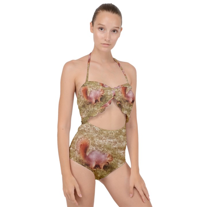 Squirrel Scallop Top Cut Out Swimsuit