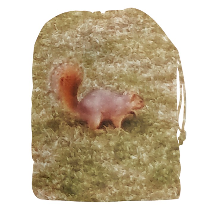 Squirrel Drawstring Pouch (XXXL)