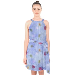 Ladybug Blue Nature Halter Collar Waist Tie Chiffon Dress